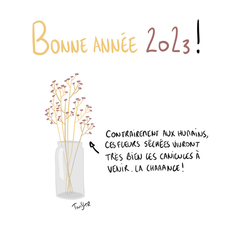 Bonne Année 23